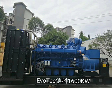 德科1600KW/400V陸用發(fā)電機應(yīng)用于某工廠項目